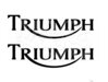 Nálepka TRIUMPH čierna