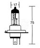 H4 Žiarovka 12V 60/55W P43T