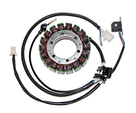 270-079 Stator YAMAHA