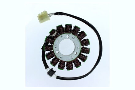 270-305 Stator SUZUKI