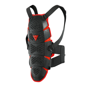 Chránič chrbtice DAINESE Pro-Speed Long