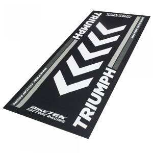 Koberec TRIUMPH séria 4