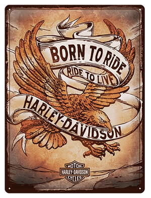 Parkovacia tabuľka HARLEY DAVIDSON Born to ride